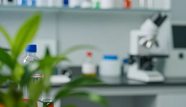 新媒体运营中问题处理的关键应用场景分析
